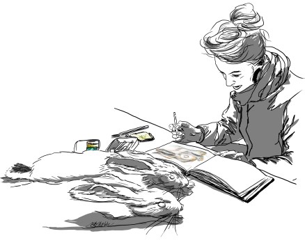 20161029_bgm-drawing-hare-specimens_v1_rs