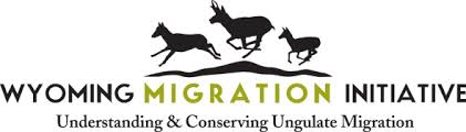 Migration Initiative logo